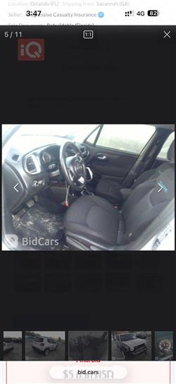 جيب رينيجيد